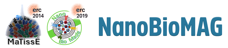 NanoBioMag