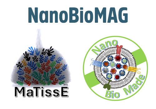 visuel accueil NanoBioMAG