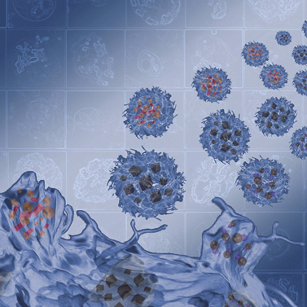 EXTRACELLULAR VESICLES NANOENGINEERING