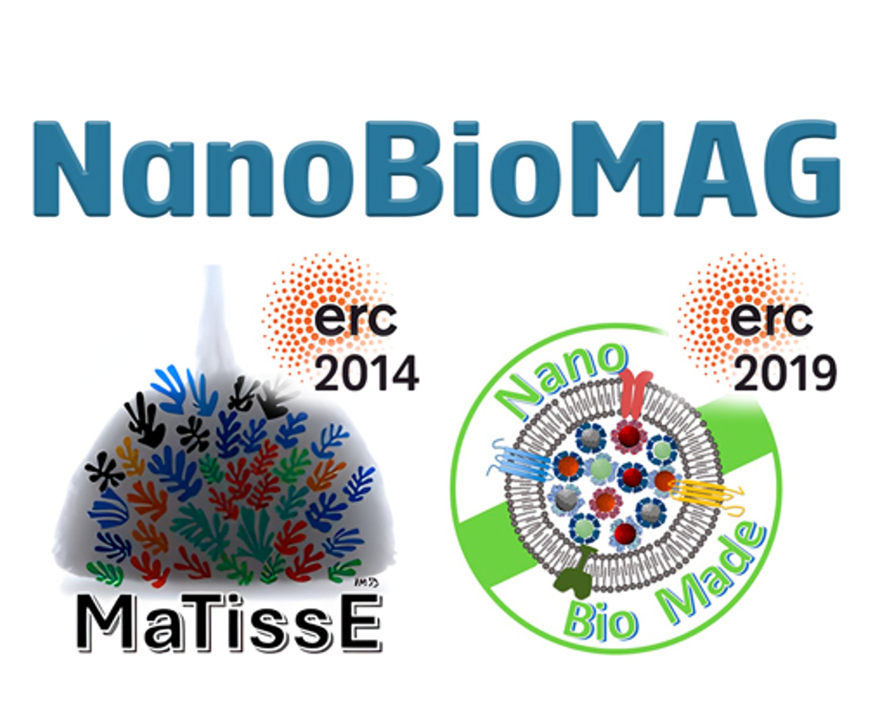 logo NanoBioMAG